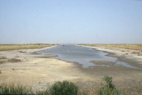 Natural salinity in West Africa