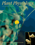 Plant Physiology
